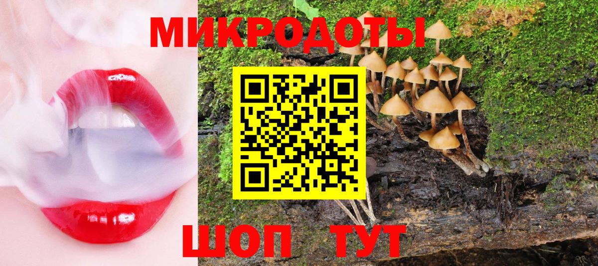 Галлюциногенные грибы ЛСД Кунгур