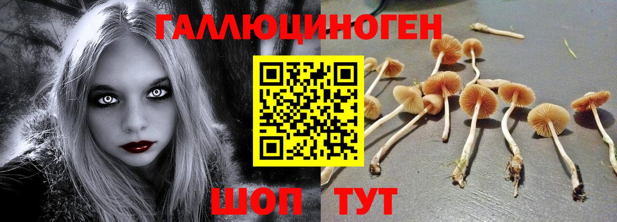 Галлюциногенные грибы мухоморы  Вход с VPN  Кунгур  Галлюциногенные грибы ЛСД 